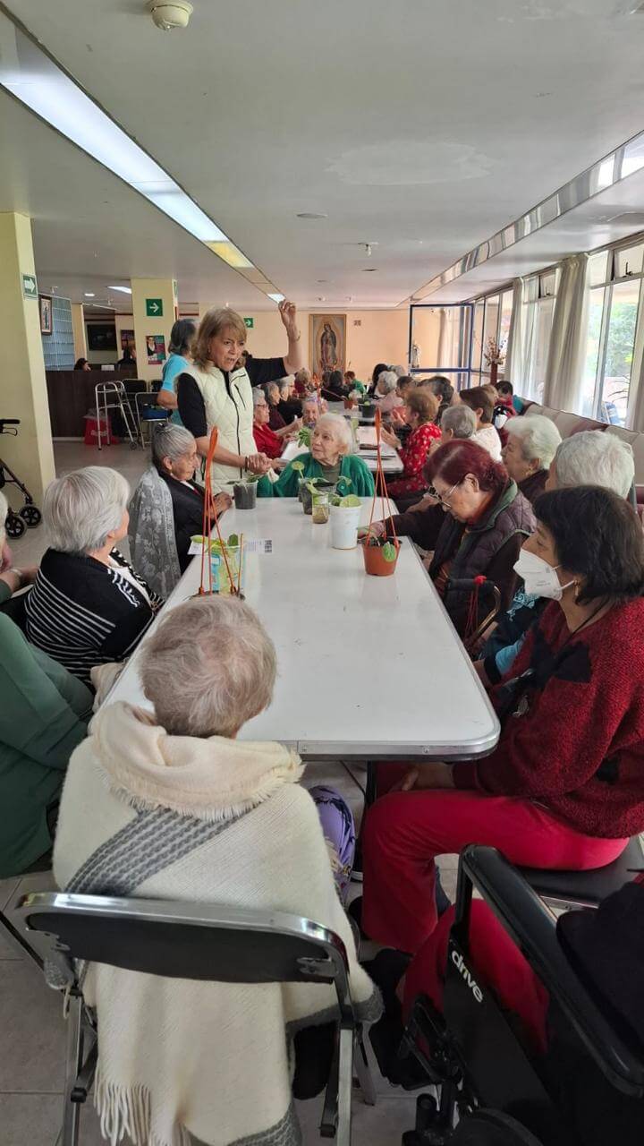 Servicio a adultos mayores