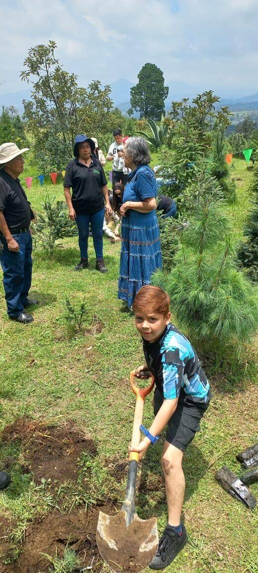 Reforestación y comunidad