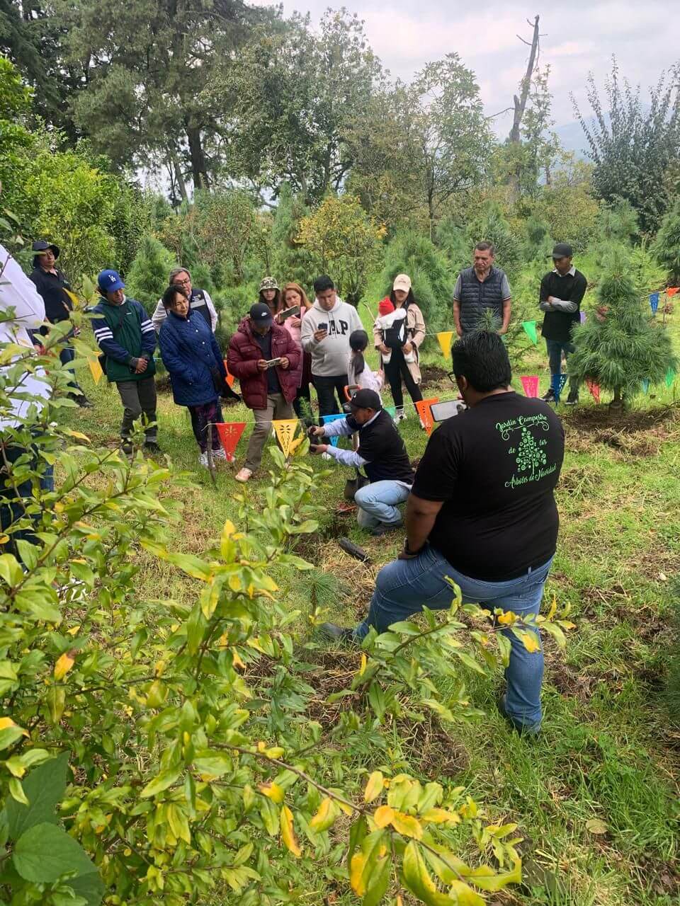 Jornada de árboles